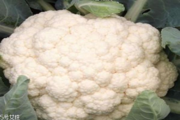 孕妇吃花菜需要注意什么呢(孕妇吃花菜好吗)