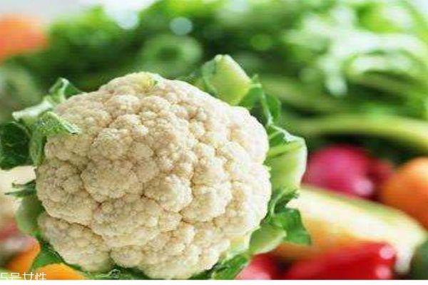 花菜有什么营养价值呢(花菜的价值和营养)