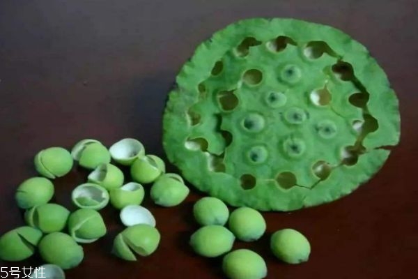 小孩可以吃莲蓬吗(小孩可以吃莲蓬吗)