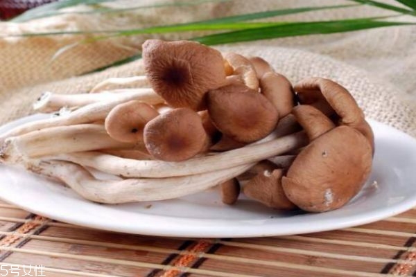 孕妇吃茶树菇要注意什么呢(孕妇吃茶树菇好吗)