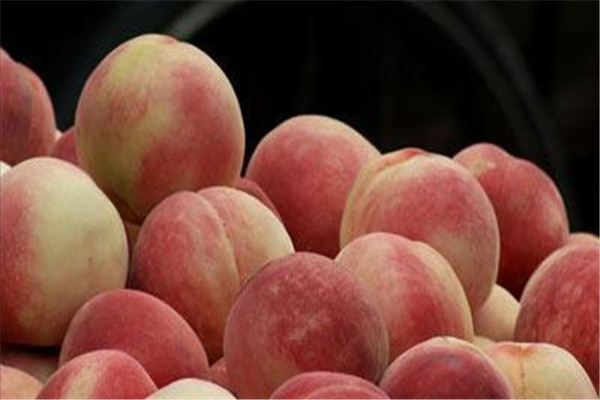 桃子成熟要多长时间(桃子多久成熟)