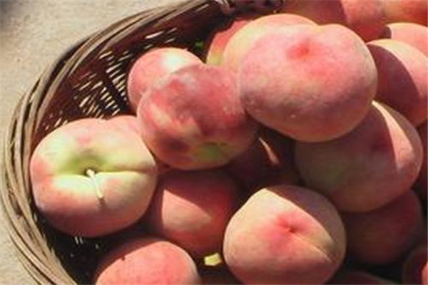 喉咙痛可以吃桃子吗(喉咙痛可以吃桃子吗) 喉咙痛可以吃桃子吗(喉咙痛可以吃桃子吗)