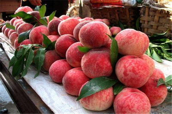 一个桃子的热量是多少(一个桃子的热量是多少大卡)