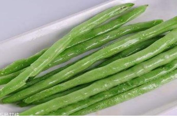 四季豆一般几月份成熟呢(四季豆成熟在几月份)