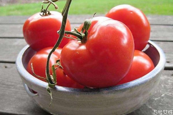 吃西红柿多久可以变白(坚持吃西红柿多久可以变白)