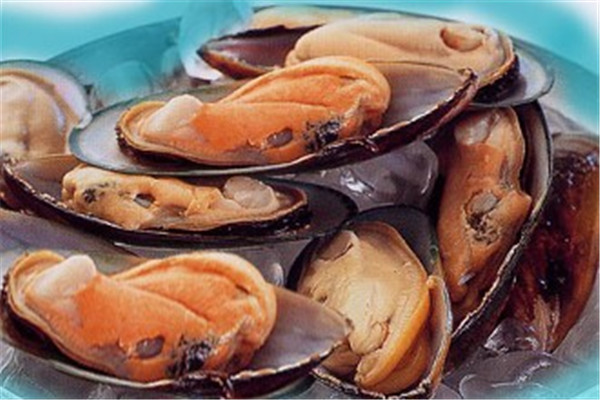 食用淡菜注意事项(吃淡菜需要注意什么)