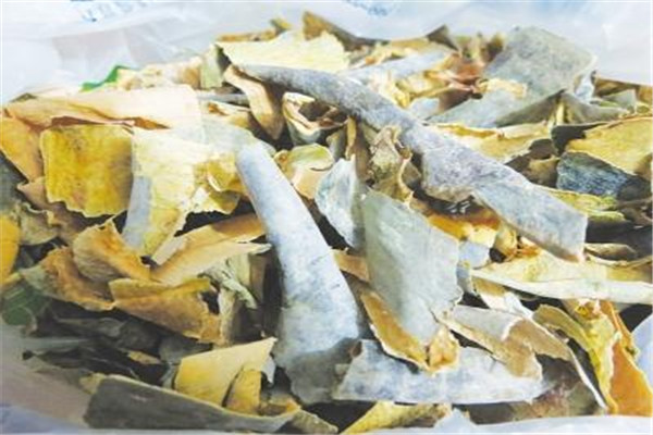 冬瓜的饮食禁忌(冬瓜的饮食禁忌)