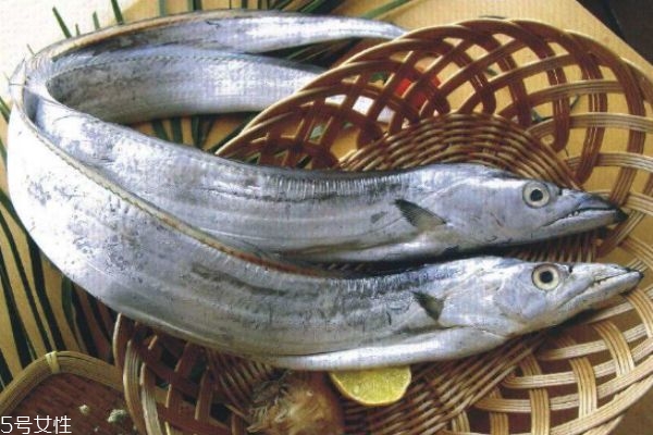 带鱼一般多少钱一斤呢(带鱼一斤多少元)
