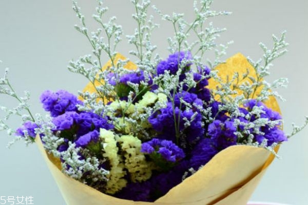 勿忘我多少钱,勿忘我多少钱一支