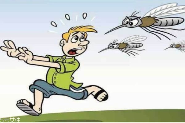 蚊子一般喜欢什么血型的人,蚊子喜欢哪种血型的人