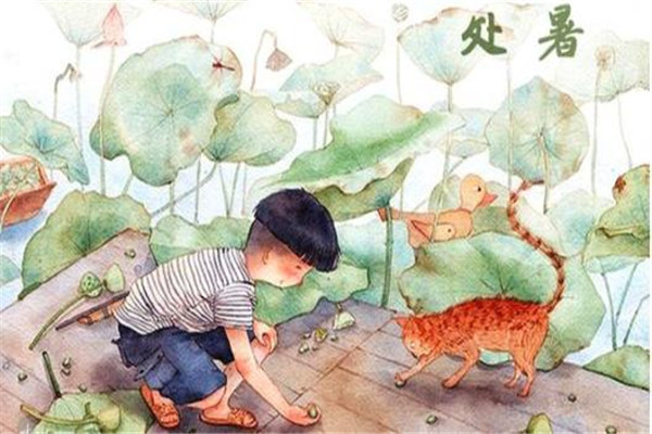 处暑养生常识,处暑吃什么食物养生