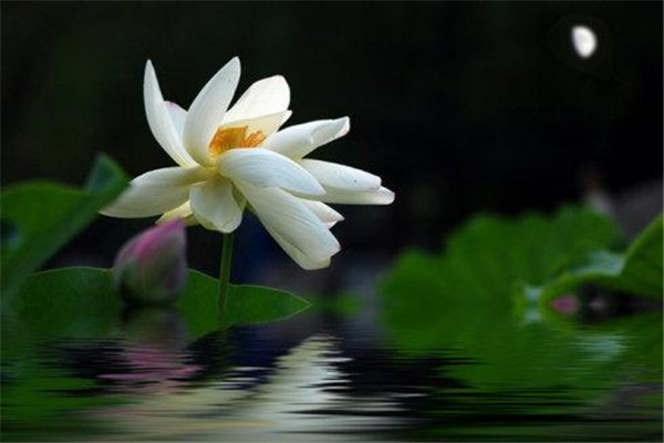 立秋之后如何养生,秋天怎样养脾胃