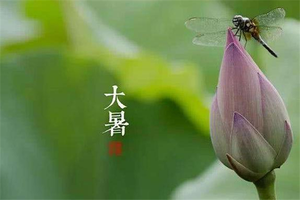 大暑要吃什么,大暑要吃什么东西 大暑要吃什么,大暑要吃什么东西