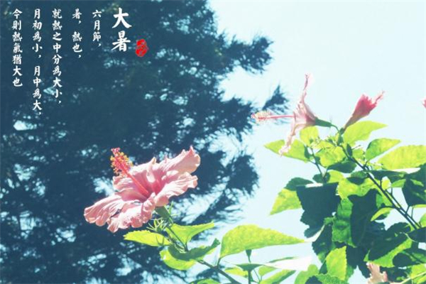 大暑过后还要热多久,大暑过后几天凉