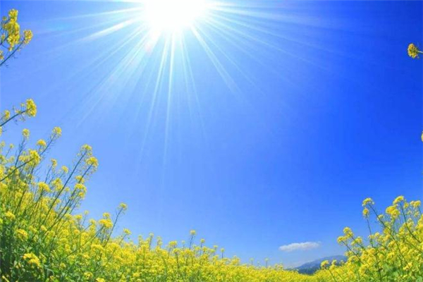 中伏是什么意思,中伏为什么有10有20天