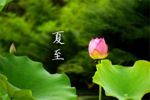 夏至是什么意思今年什么时候进入伏天,有个节气叫夏至是什么意思