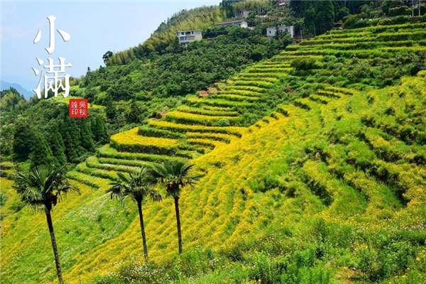 24节气为什么没有大满,24节气小满