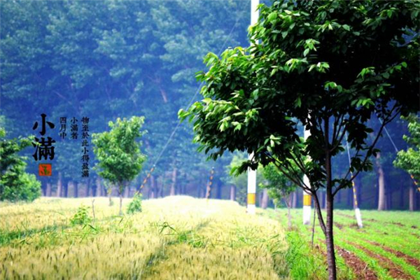 明年不适合结婚的生肖,明年适合结婚的生肖