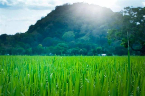 秦东魁搬家注意事项,搬家顺序和注意事项
