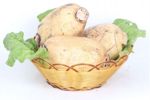 冬季养生食物大全,冬季必吃的养生食物