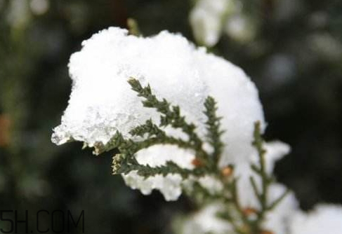 今年的倒春寒是什么时候,每年倒春寒是什么时候