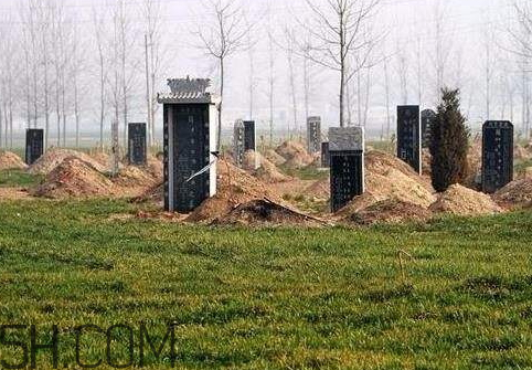 新坟不过社的寓意,新坟不过社是什么意思