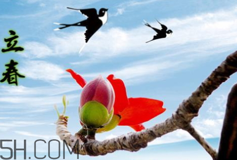 2018年立春是几九的第几天,2018年立春是几九