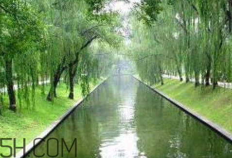 九九怎么计算,如何计算几九