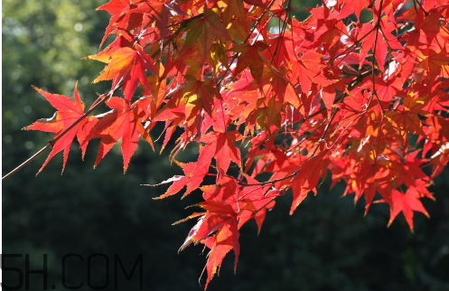 2017年秋天是几月份,2018年秋天是几月