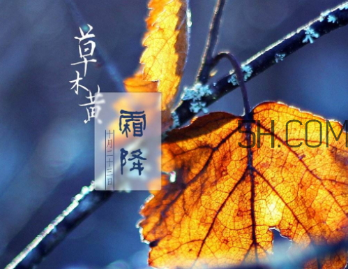 霜降下雨好吗,霜降下雨好还是晴天好 霜降下雨好吗,霜降下雨好还是晴天好