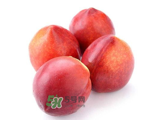 桃子的成熟时间是几月份的,桃子的成熟时间是90天是怎样计算