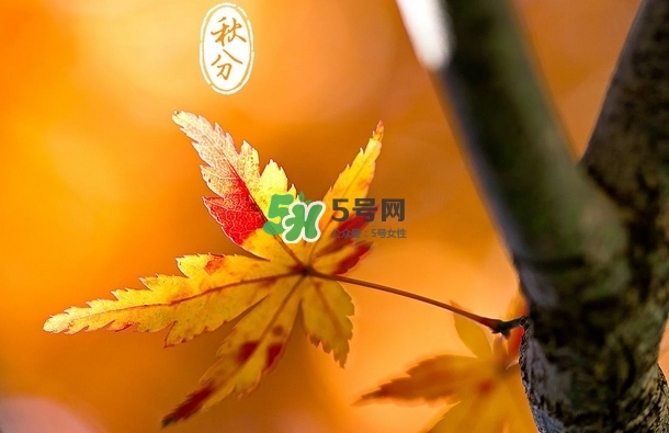秋分是秋天的开始吗,什么时候入秋