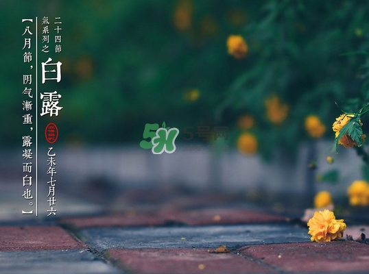 白露后是秋天吗,白露是秋天的开始还是结束