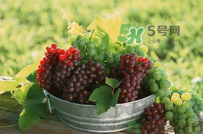 哪些人不能吃水果,不宜多吃的水果