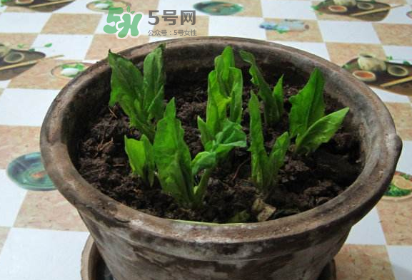 八月份的气候特点,八月的季节特点