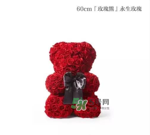 roseonly最大的熊,roseonly小熊