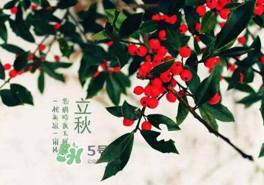 立秋后还会热吗,立秋后还会热吗,只需要知道这几点