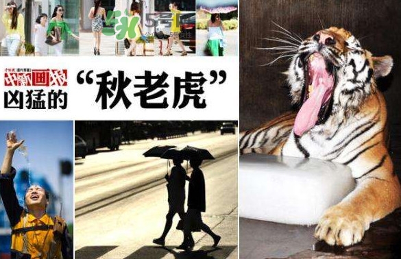 什么是秋老虎,秋老虎是什么意思啊