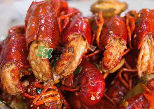 小龙虾哪个季节最好吃,龙虾什么季节最好吃