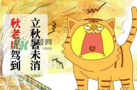 三伏天热还是秋老虎热,末伏是秋老虎吗