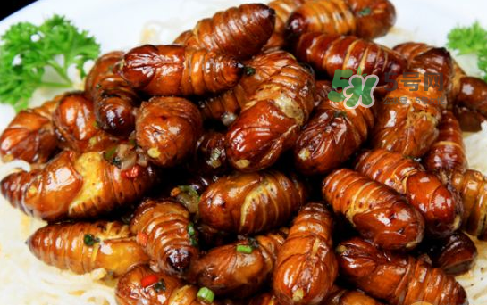 知了是什么时候出来的,知了在几月份出现