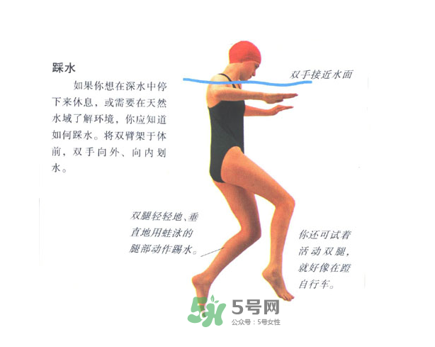 游泳踩水技巧图解,游泳踩水动作分解图