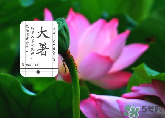 大暑和处暑是什么意思,小暑大暑处暑是什么意思