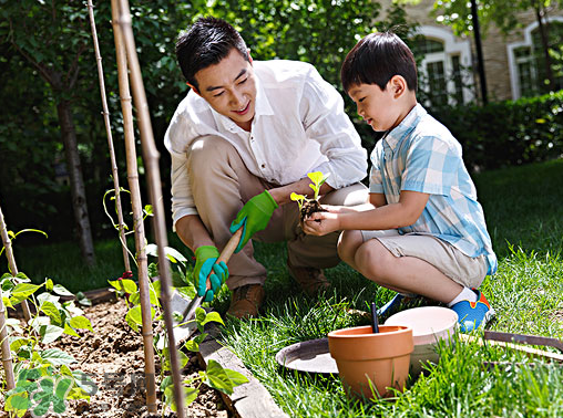 入伏吃什么菜去湿气,入伏吃什么菜好