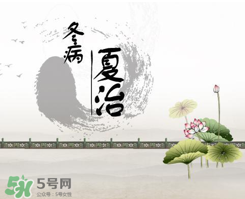 三伏灸适应症状,三伏灸是什么