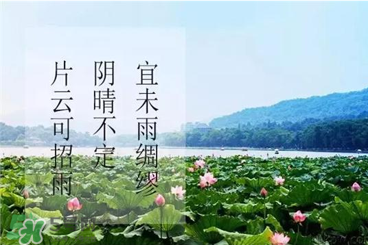 入伏是什么意思,入伏从哪天算起,入伏是什么意思啊