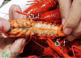 小龙虾的做法大全家常做法,小龙虾的做法麻辣小龙虾怎么做 小龙虾的做法大全家常做法,小龙虾的做法麻辣小龙虾怎么做