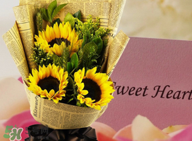 向日葵花语是什么意思,向日葵花语象征和寓意 向日葵花语是什么意思,向日葵花语象征和寓意