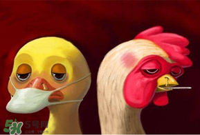 2017禽流感最新消息,2016年禽流感最新消息