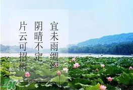 夏至后多久入伏,什么时候夏至什么时候入伏